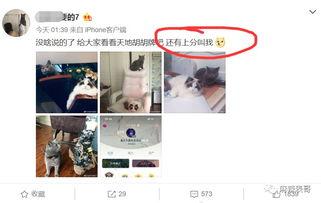 网红故事圈带你吃瓜,带你一探“吃瓜”背后的故事  第3张