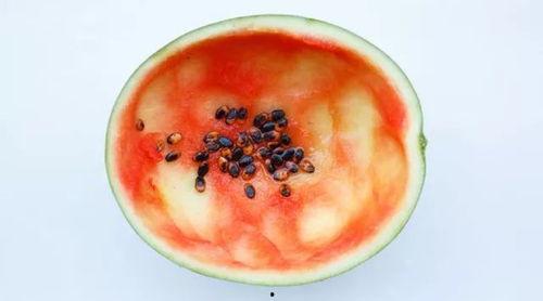 网红吃瓜勺子图片真实高清,揭秘网红美食背后的神秘道具