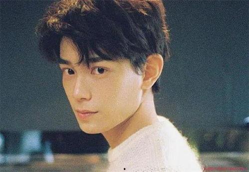 圈内人爆料丁禹兮,圈内爆料揭示明星背后的故事  第3张